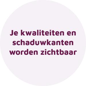 Je kwaliteiten en schaduwkanten worden zichtbaar - cirkel