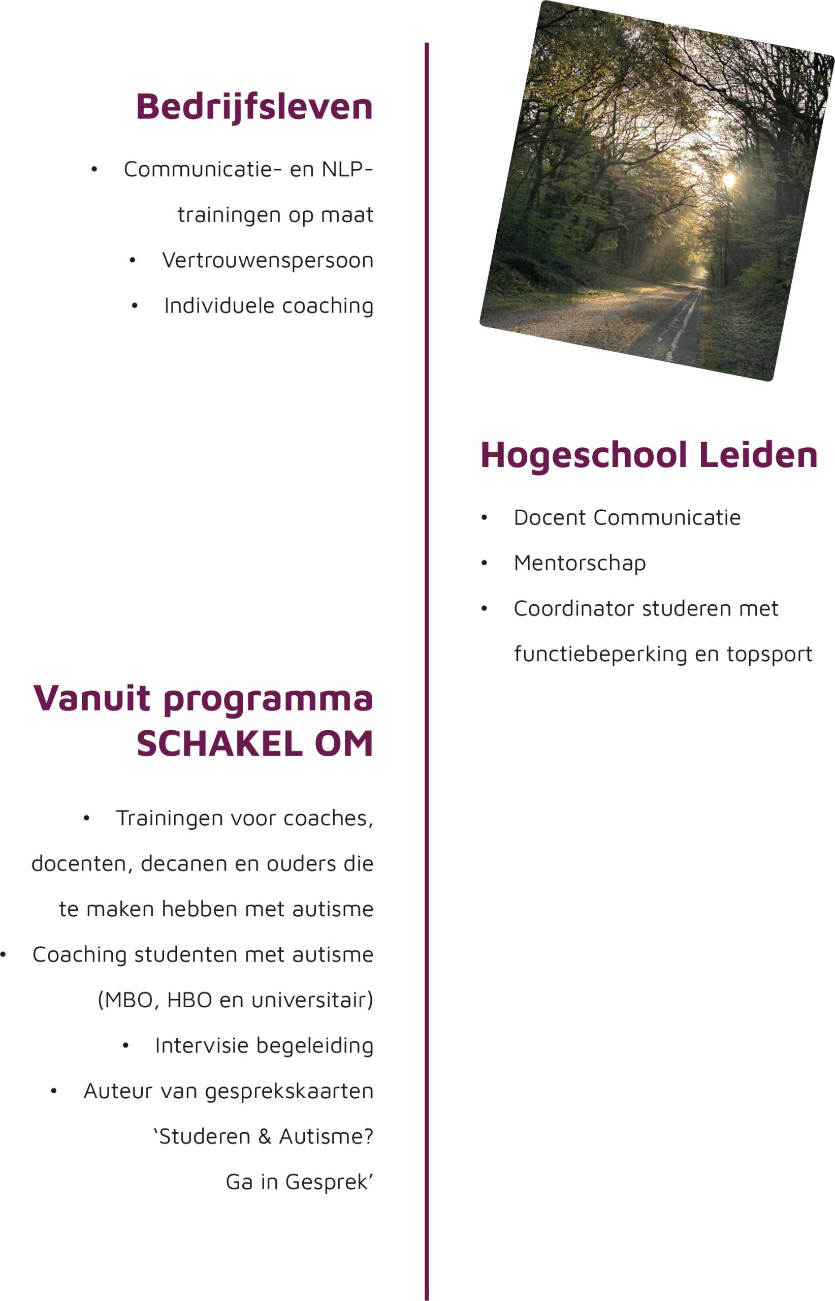 Tijdlijn terugblik