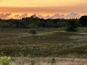 Zonsondergang heide